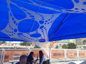 IMG-20210302-WA0005