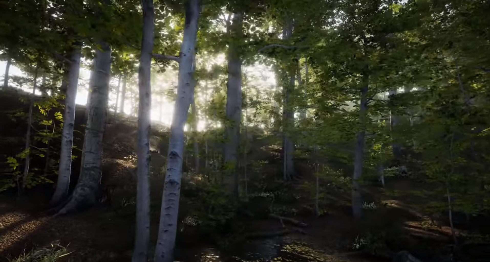 Unity Tips and Tricks for Photorealism