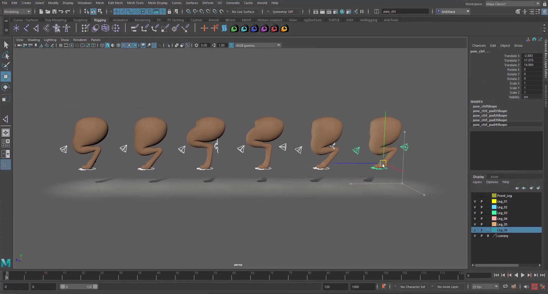 How Do I Build a Quadruped Rig